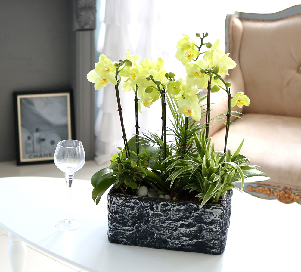 [ ȣ] ׸ () (ȭǰ)  ɹ