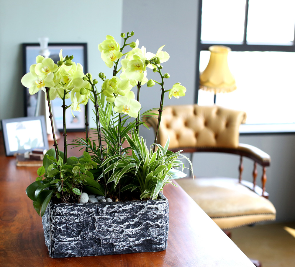 [ ȣ] ׸ () (ȭǰ)  ɹ