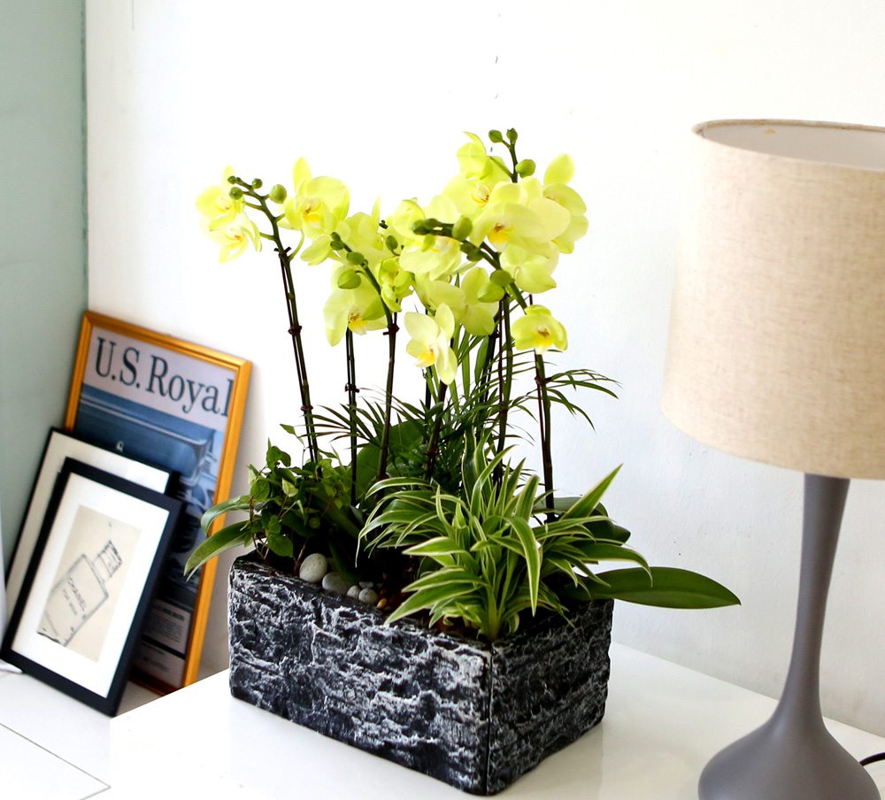 [ ȣ] ׸ () (ȭǰ)  ɹ