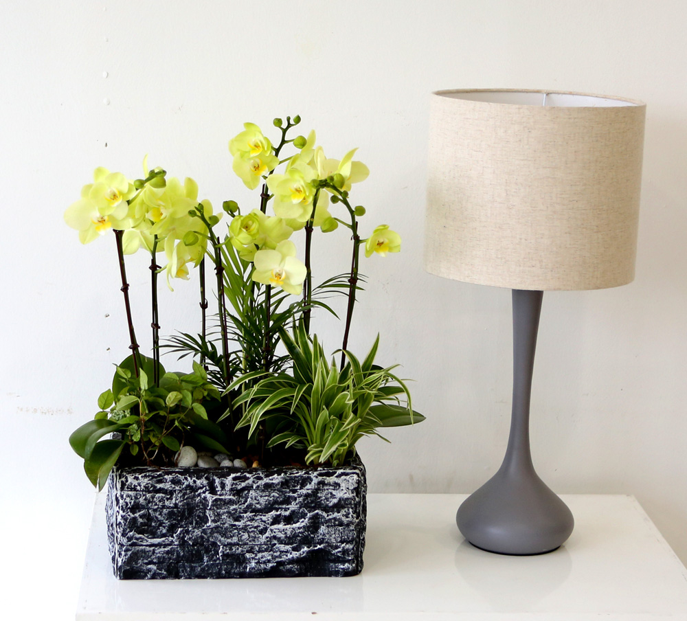 [ ȣ] ׸ () (ȭǰ)  ɹ