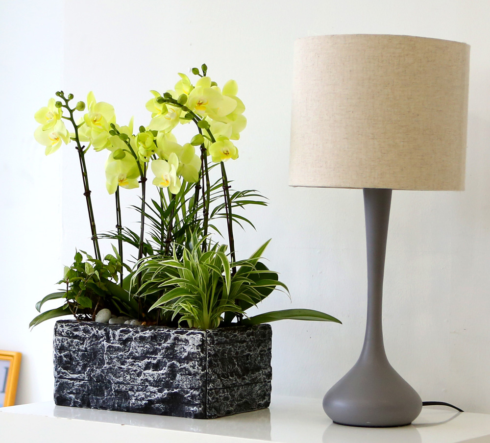 [ ȣ] ׸ () (ȭǰ)  ɹ