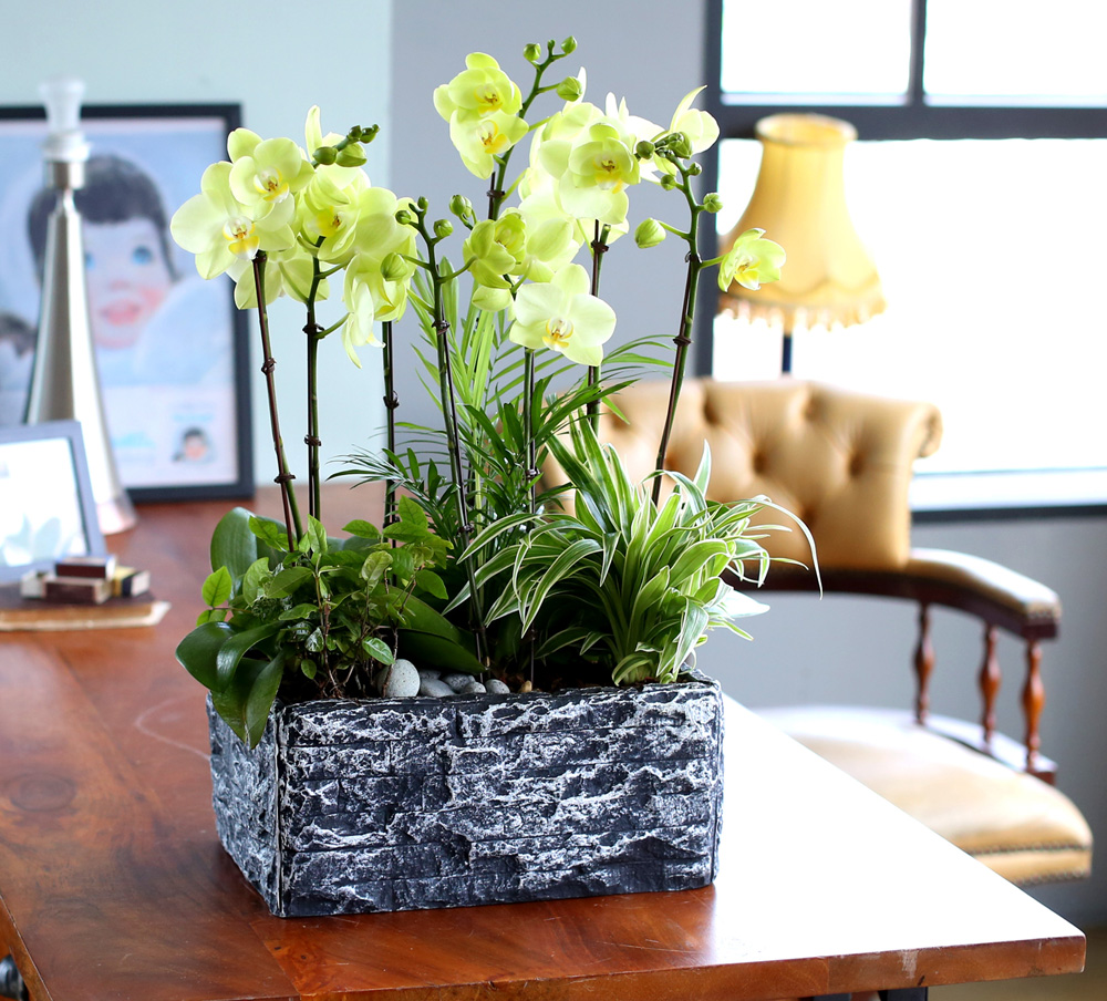 [ ȣ] ׸ () (ȭǰ)  ɹ