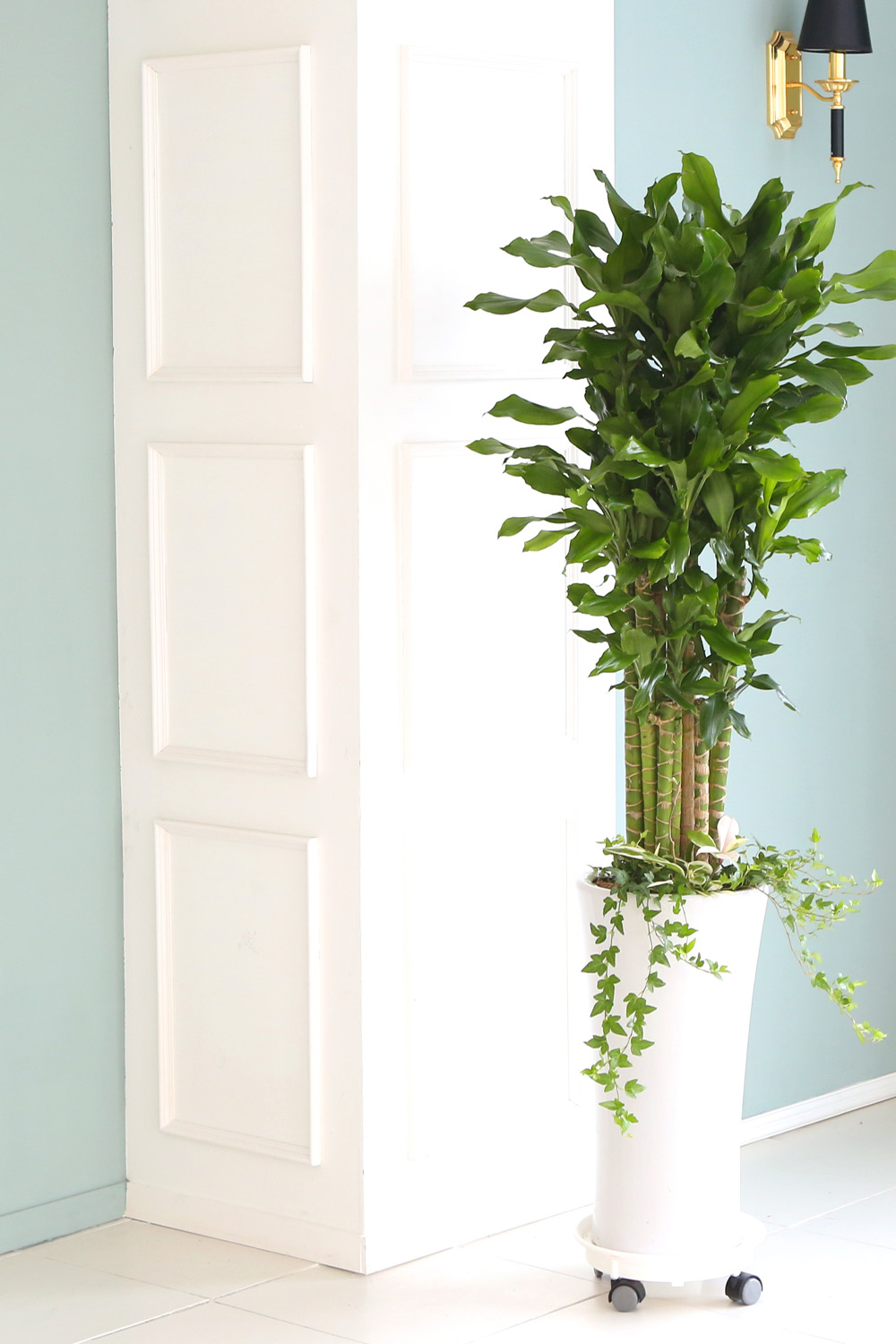 °³¾÷ÃàÇÏ´ëǥȺР - ´ë¹Ú³ª½Ã°í ¼º°øÇϼ¼¿ä ±ÝÀü¿îÀÇ È²±ÝÁ× ²ÉÁý ²É¹è´Þ