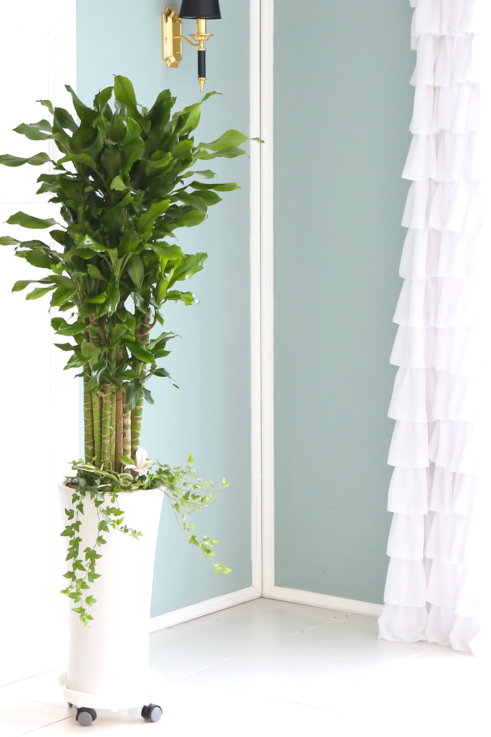 °³¾÷ÃàÇÏ´ëǥȺР - ´ë¹Ú³ª½Ã°í ¼º°øÇϼ¼¿ä ±ÝÀü¿îÀÇ È²±ÝÁ× ²ÉÁý ²É¹è´Þ