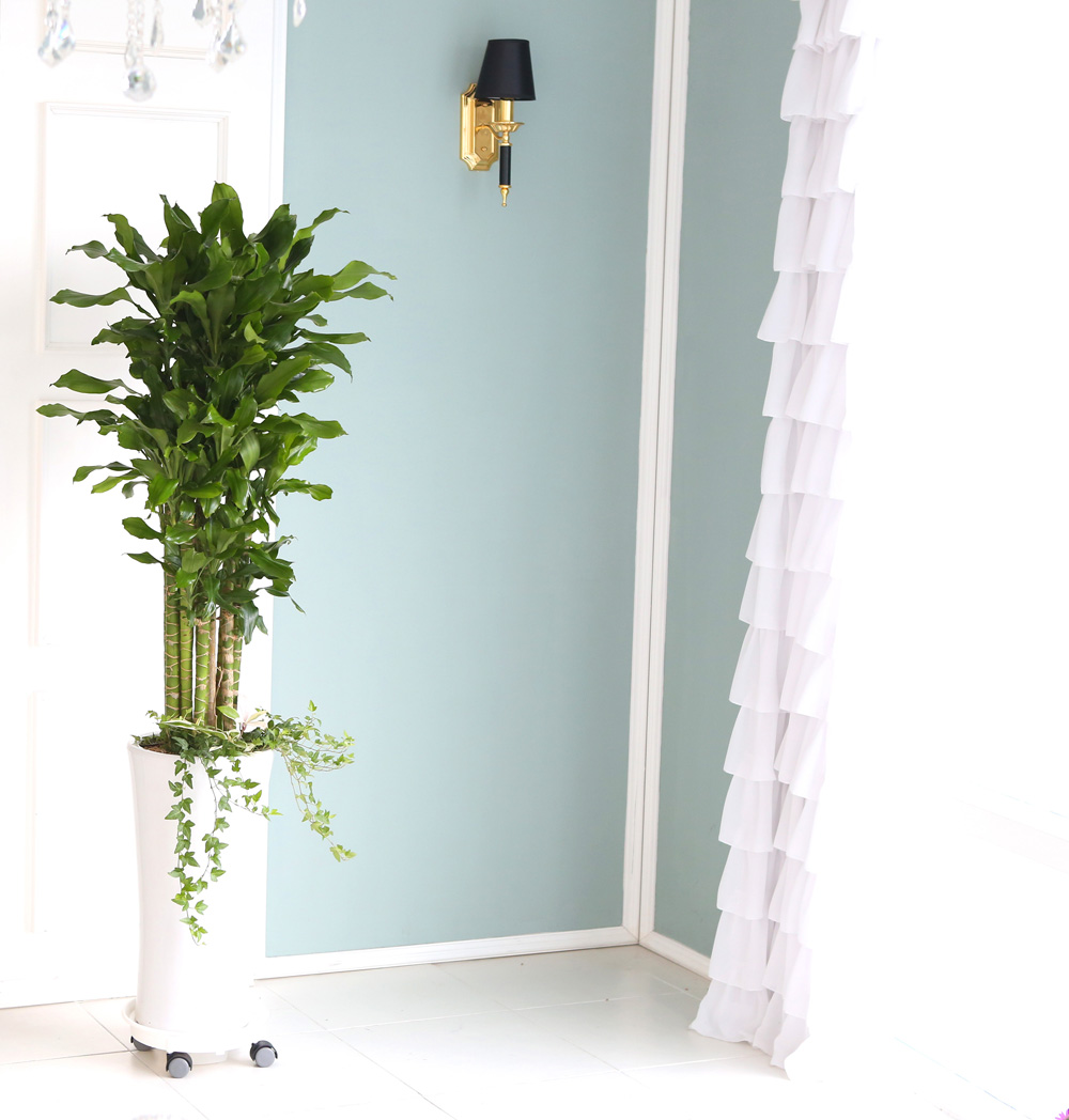 °³¾÷ÃàÇÏ´ëǥȺР - ´ë¹Ú³ª½Ã°í ¼º°øÇϼ¼¿ä ±ÝÀü¿îÀÇ È²±ÝÁ× ²ÉÁý ²É¹è´Þ