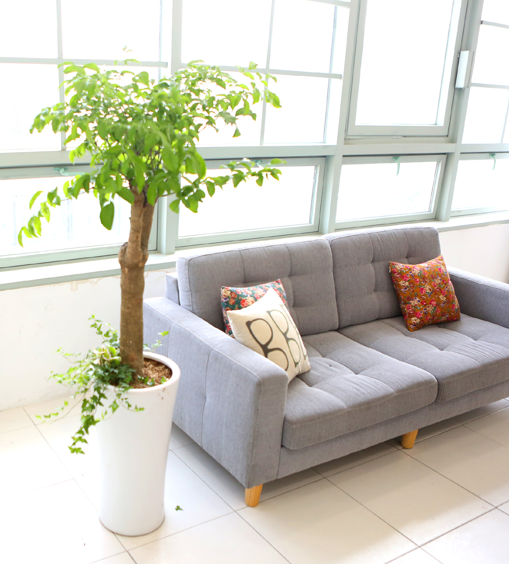 ǥ ȭ ǳȭĹ - ູ 帳ϴ! ູ(ħ)  ɹ