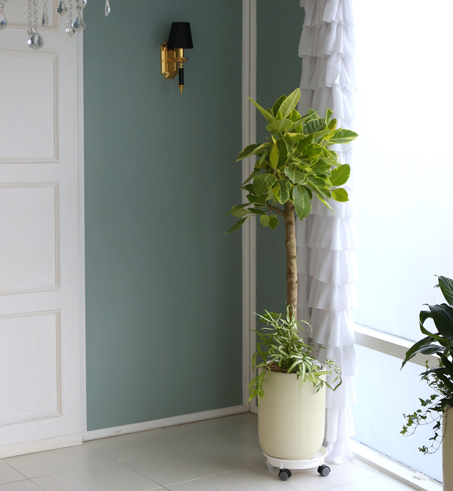 °³¾÷ÃàÇÏ´ëǥȺР- ¿¬µÎºû ÀÙÀÌ ¸ÅȤÀûÀÎ ¹ð°¥°í¹«³ª¹«