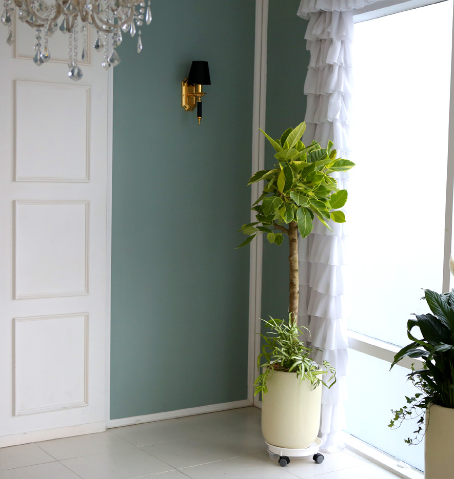 °³¾÷ÃàÇÏ´ëǥȺР- ¿¬µÎºû ÀÙÀÌ ¸ÅȤÀûÀÎ ¹ð°¥°í¹«³ª¹«