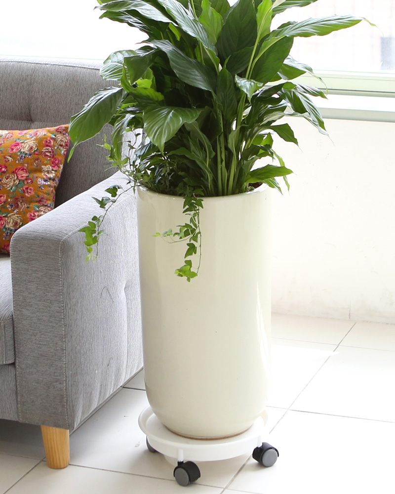 鿪 淯ִ -  Ű ̱׷ Ƽʷ  ɹ