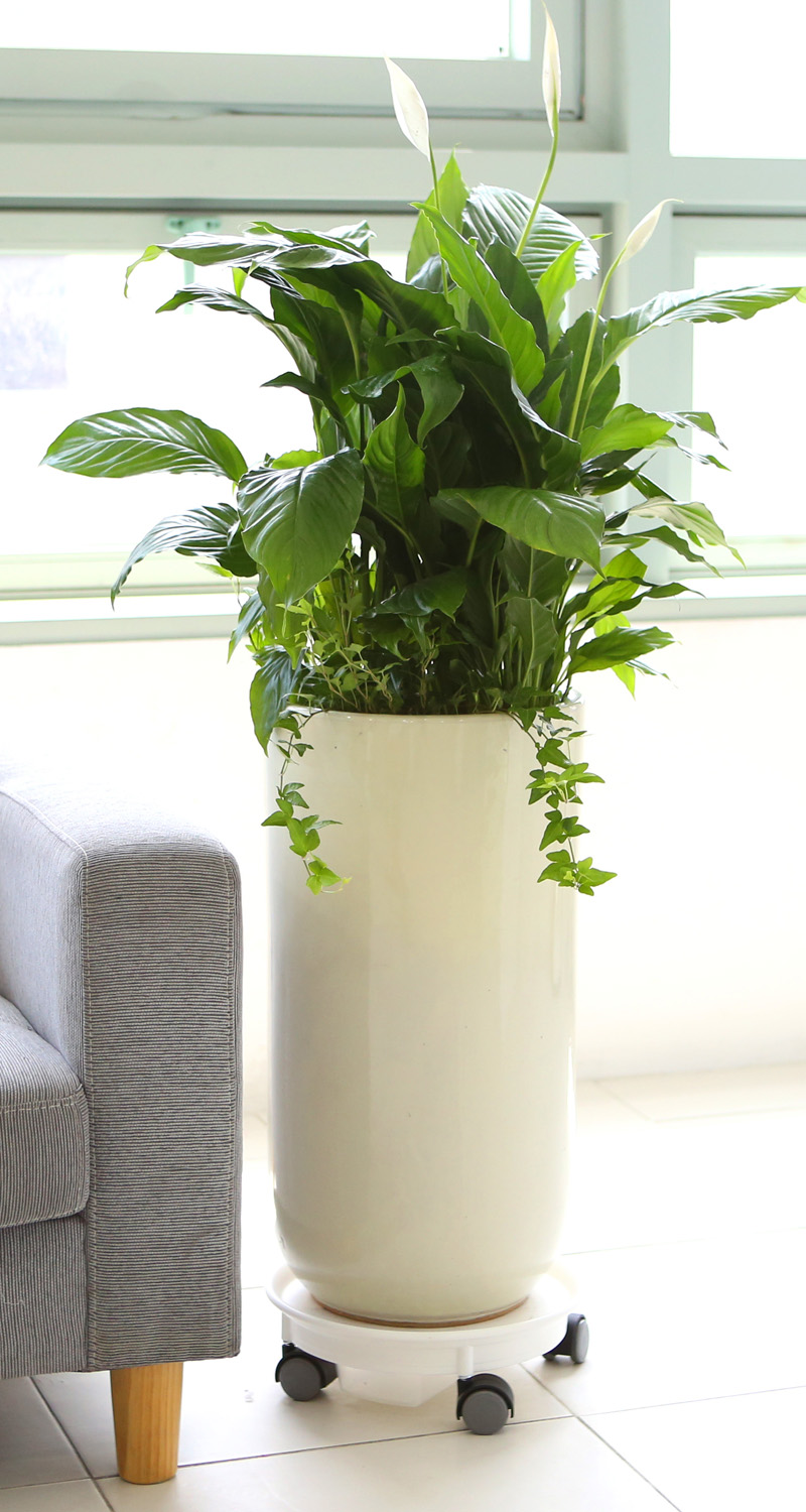 鿪 淯ִ -  Ű ̱׷ Ƽʷ  ɹ