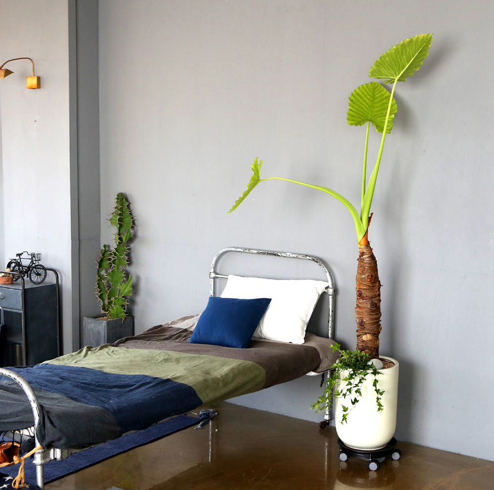 ǥ ȭ ȭĹ -   ŷ ˷īþ