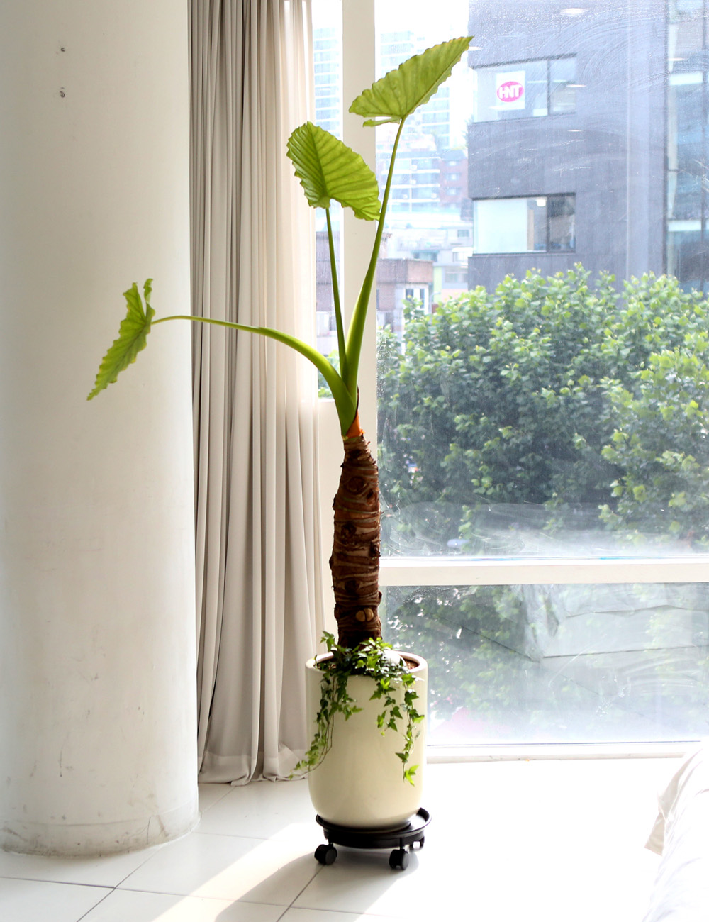 ǥ ȭ ȭĹ -   ŷ ˷īþ