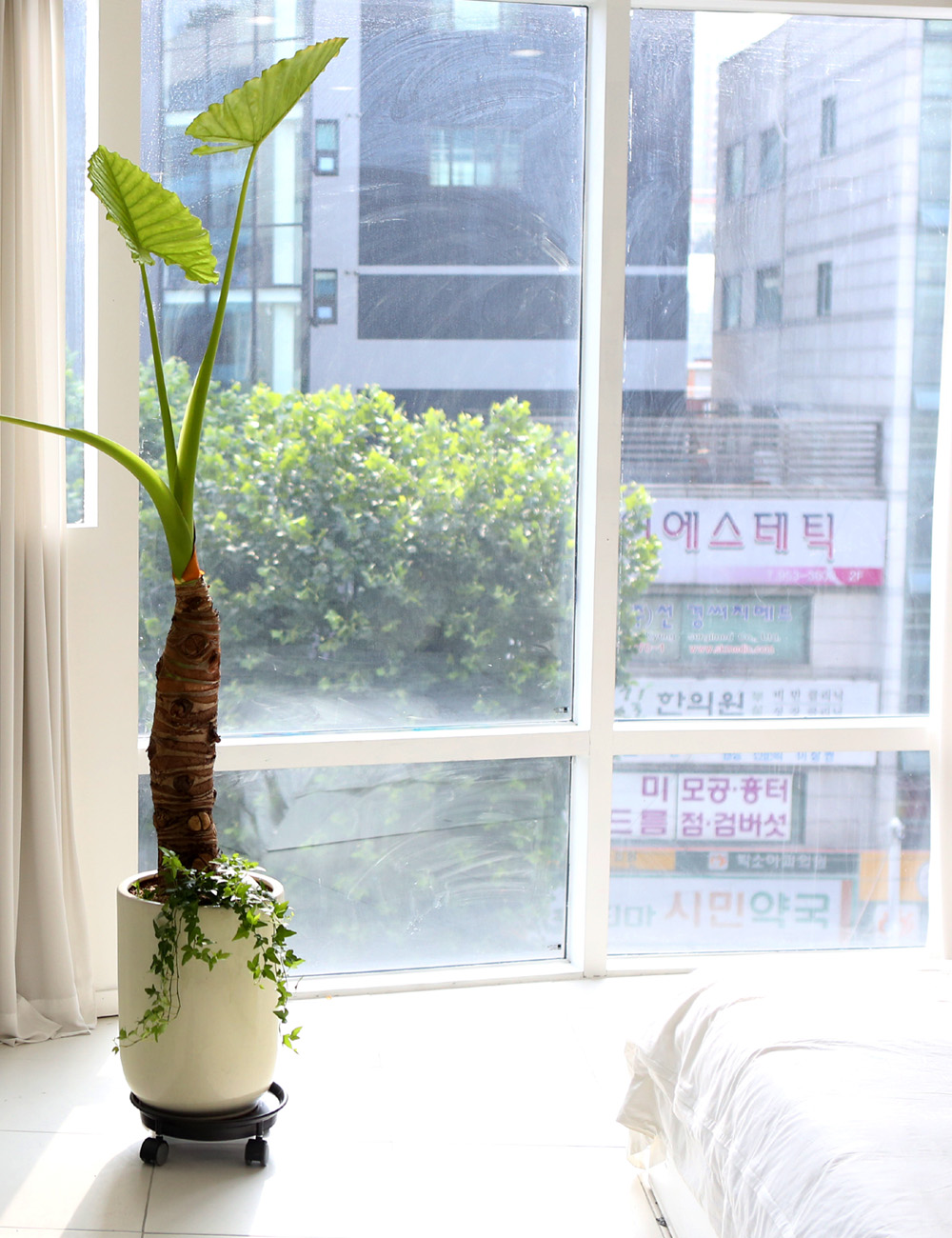 ǥ ȭ ȭĹ -   ŷ ˷īþ