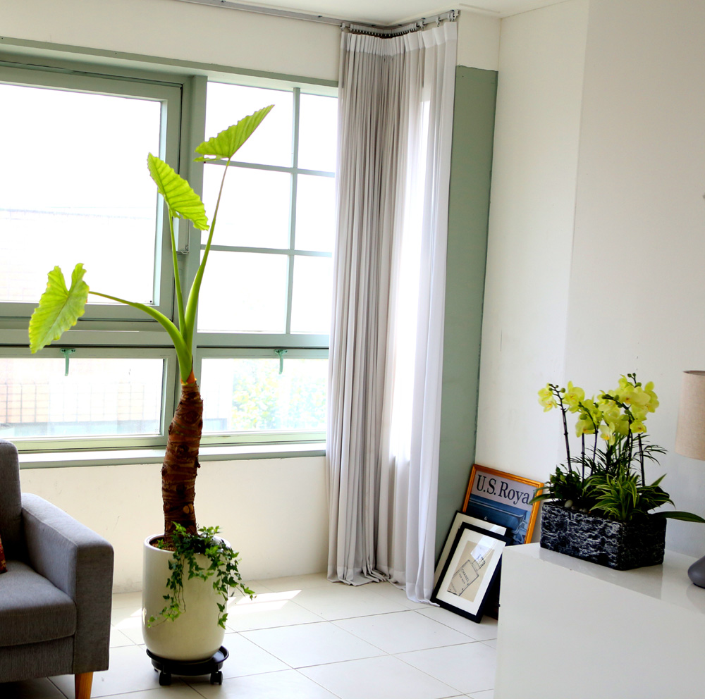 ǥ ȭ ȭĹ -   ŷ ˷īþ