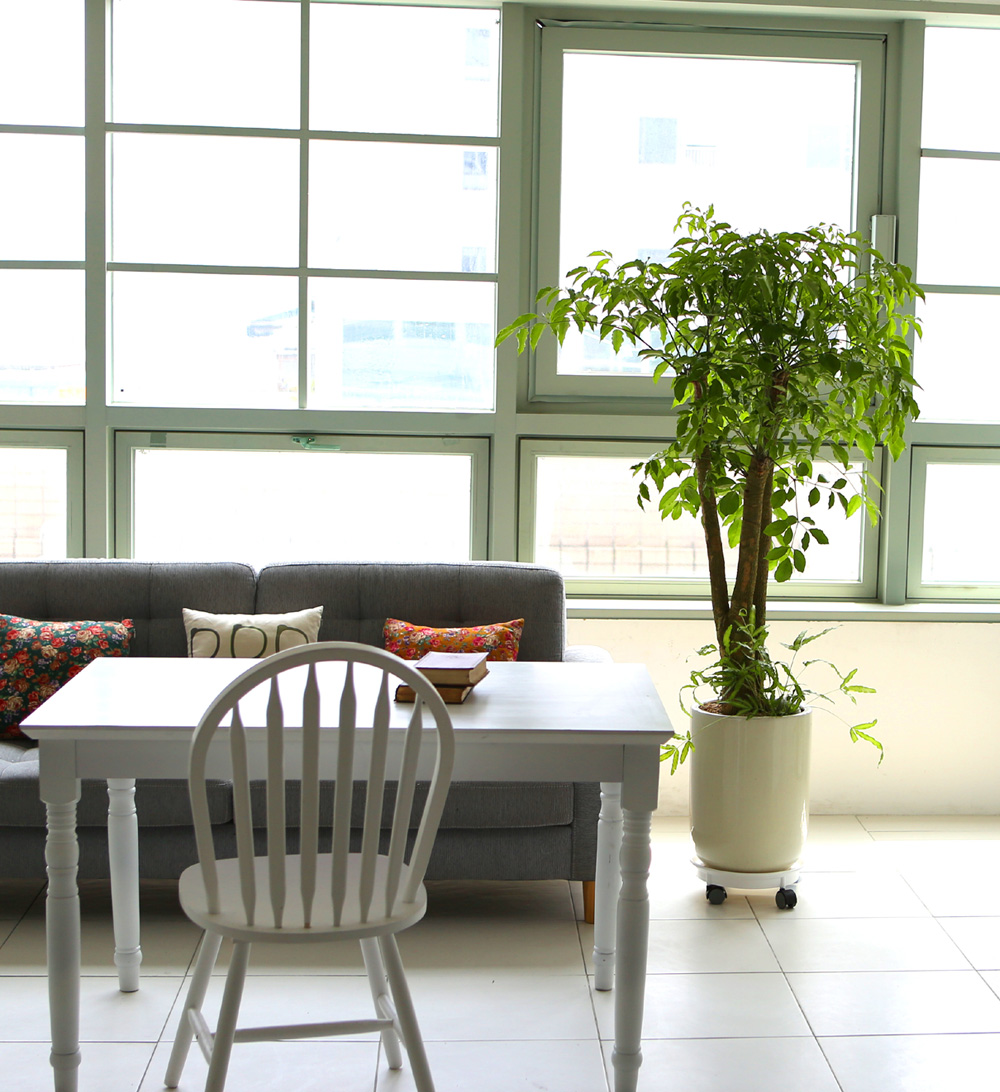 °³¾÷ÃàÇÏ´ëǥȺР- ÇູÀ»Áִ³ª¹« ÇØÇÇÆ®¸® ²ÉÁý ²É¹è´Þ