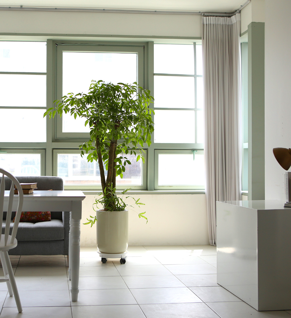 °³¾÷ÃàÇÏ´ëǥȺР- ÇູÀ»Áִ³ª¹« ÇØÇÇÆ®¸® ²ÉÁý ²É¹è´Þ