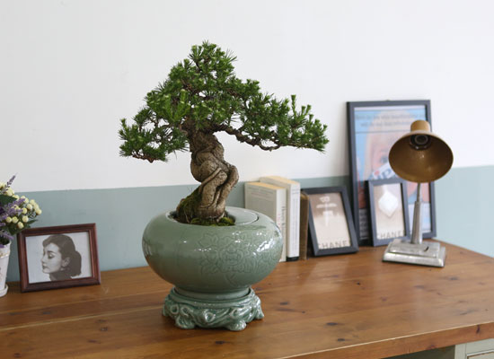 []   ǰ - ڿ ! ǰ   ؼۺ縦 (û )  ɹ