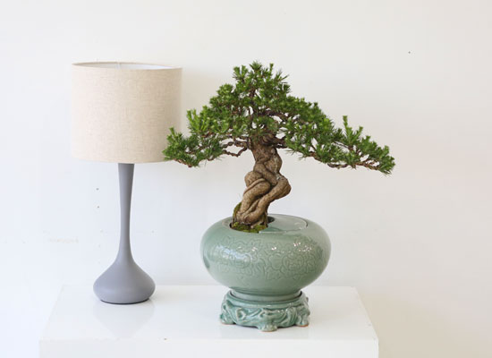 []   ǰ - ڿ ! ǰ   ؼۺ縦 (û )  ɹ