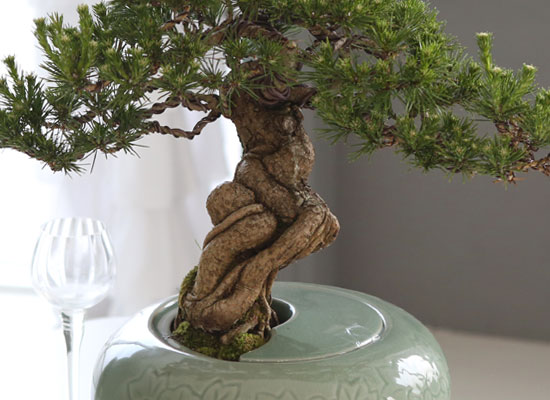 []   ǰ - ڿ ! ǰ   ؼۺ縦 (û )  ɹ