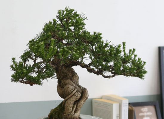 []   ǰ - ڿ ! ǰ   ؼۺ縦 (û )  ɹ