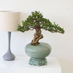 []   ǰ - ڿ ! ǰ   ؼۺ縦 (û )  ɹ