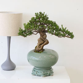 []   ǰ - ڿ ! ǰ   ؼۺ縦 (û )  ɹ