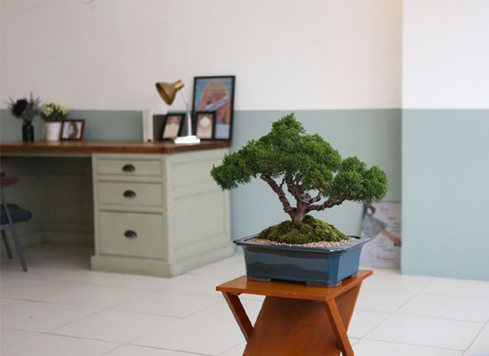    ǰ - ڿ ! ǰ   ö Ǫ ǥ (ܿۺҰ)  ɹ