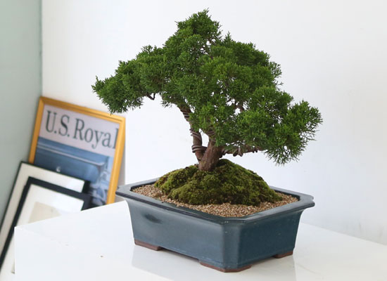    ǰ - ڿ ! ǰ   ö Ǫ ǥ (ܿۺҰ)  ɹ