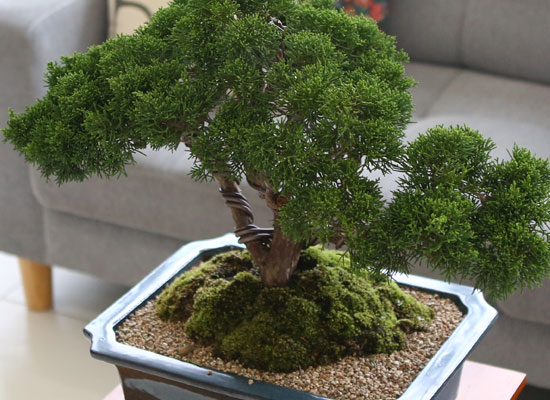    ǰ - ڿ ! ǰ   ö Ǫ ǥ (ܿۺҰ)  ɹ