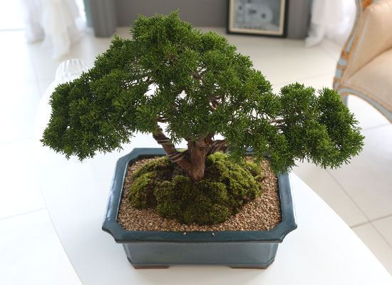    ǰ - ڿ ! ǰ   ö Ǫ ǥ (ܿۺҰ)  ɹ