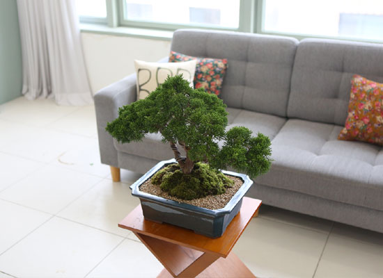    ǰ - ڿ ! ǰ   ö Ǫ ǥ (ܿۺҰ)  ɹ