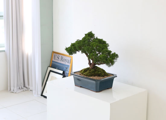    ǰ - ڿ ! ǰ   ö Ǫ ǥ (ܿۺҰ)  ɹ