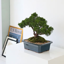    ǰ - ڿ ! ǰ   ö Ǫ ǥ (ܿۺҰ)  ɹ