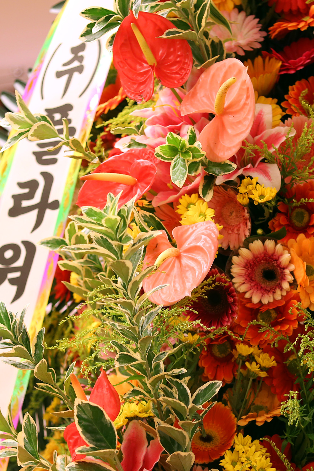 °áÈ¥½Ä ÃàÇÏ3´ÜÈȯ - (3´Ü Ư´ë °í±ÞÇü)¼·Î Á¸ÁßÇÏ°í ¼·Î »ç¶ûÇÏ´Â ºÎºÎ°¡....