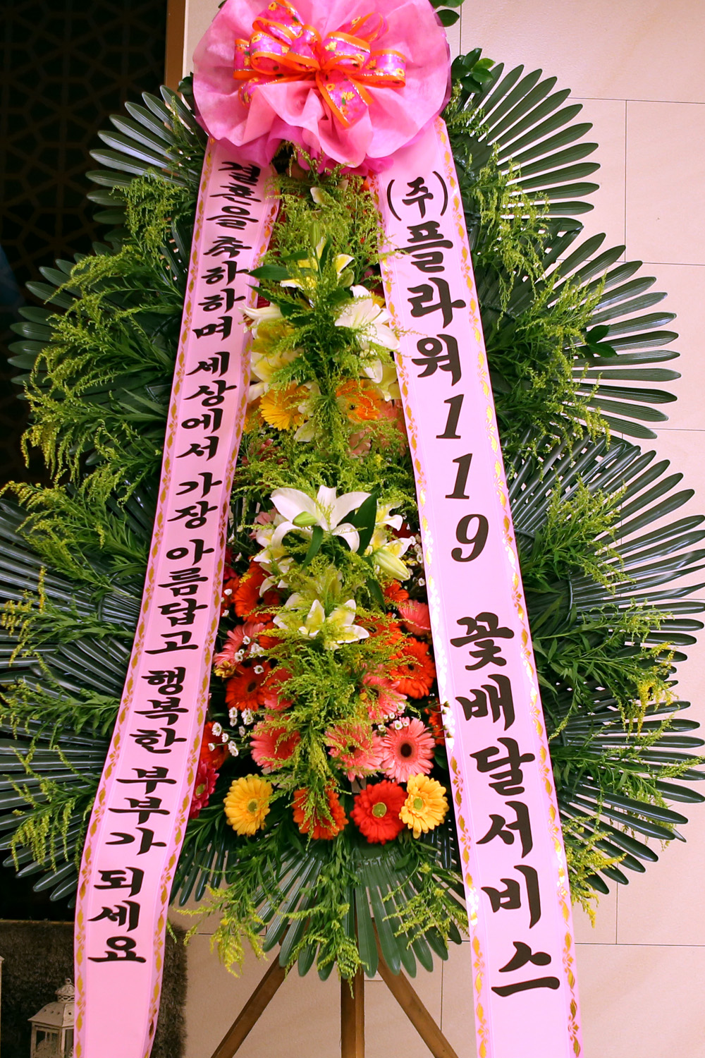 ȥ 3ȭȯ -(3ܰ) 󿡼  Ƹ ູ κΰ....  ɹ