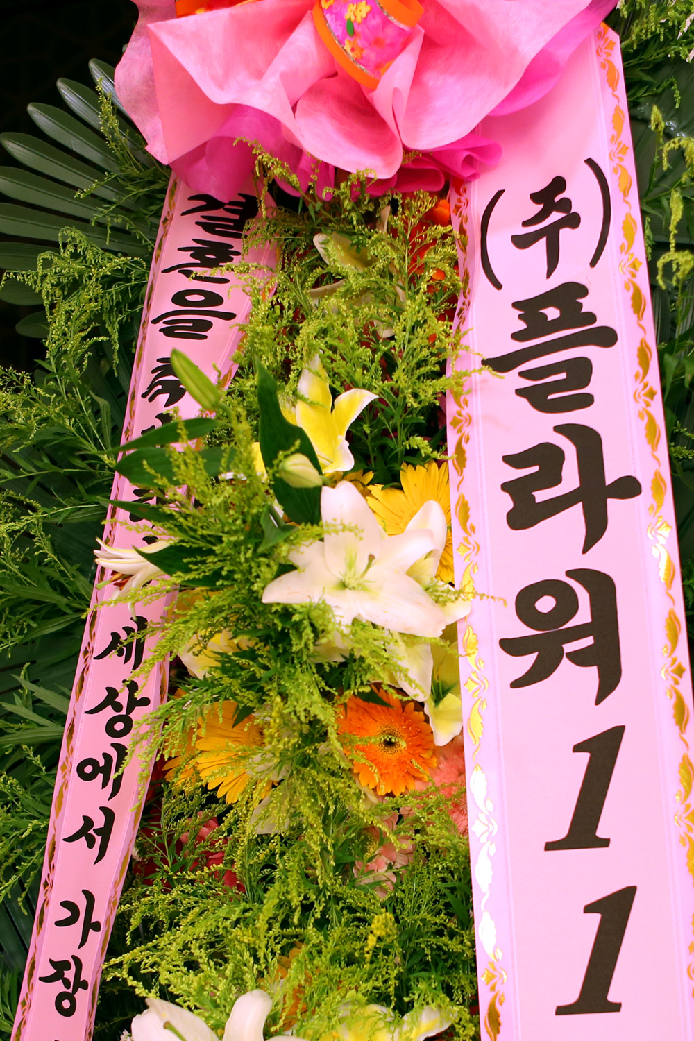 ȥ 3ȭȯ -(3ܰ) 󿡼  Ƹ ູ κΰ....  ɹ