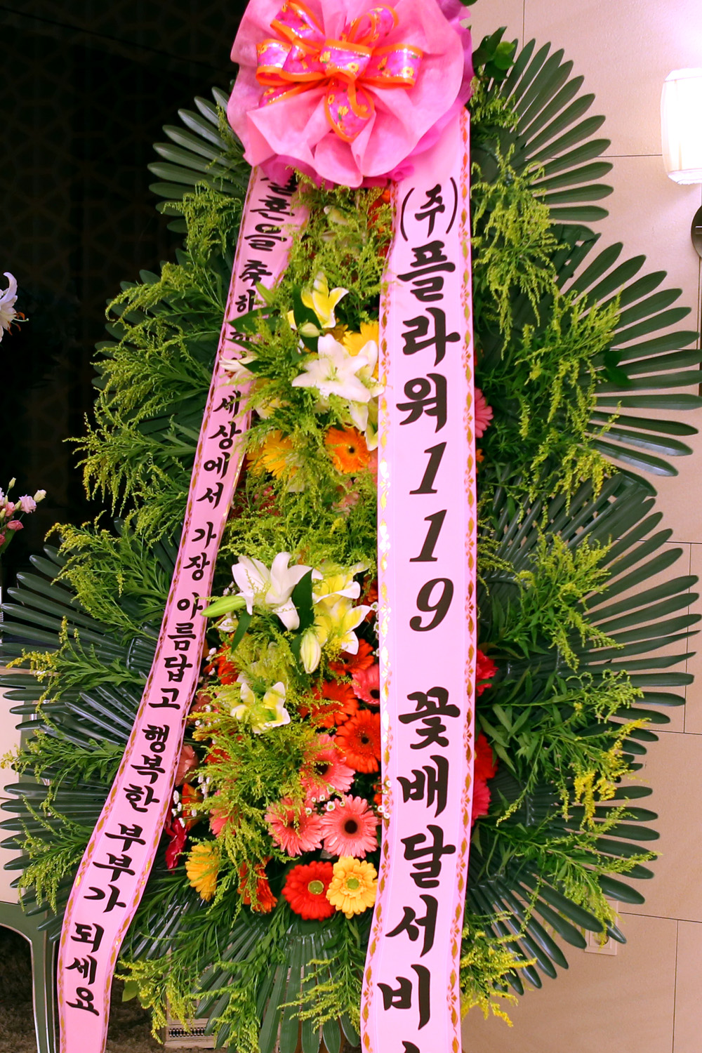 ȥ 3ȭȯ -(3ܰ) 󿡼  Ƹ ູ κΰ....  ɹ