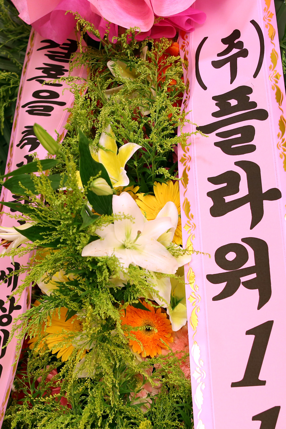 ȥ 3ȭȯ -(3ܰ) 󿡼  Ƹ ູ κΰ....  ɹ