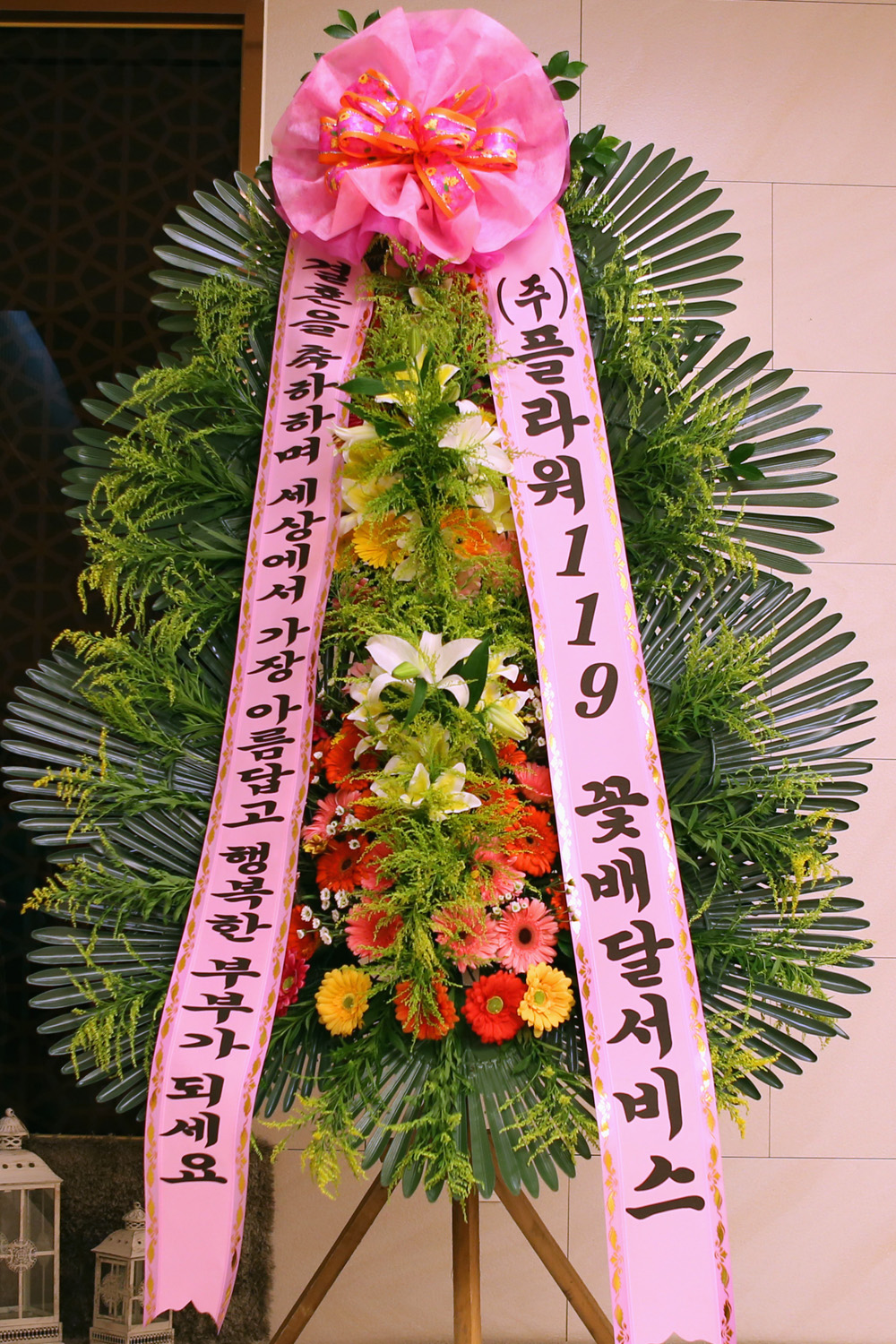 ȥ 3ȭȯ -(3ܰ) 󿡼  Ƹ ູ κΰ....  ɹ