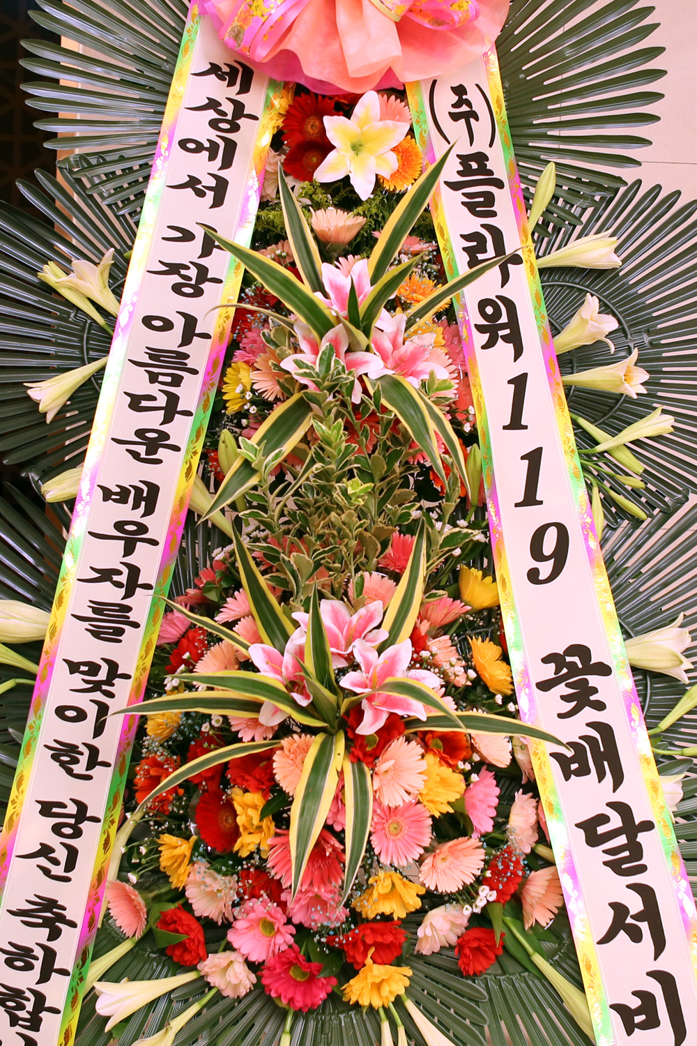 °áÈ¥½Ä ÃàÇÏ3´ÜÈȯ -(3´Ü°í±ÞÁßÇü) °¡À徯¸§´Ù¿î ¹è¿ìÀÚ¸¦ ¸ÂÀÌÇÑ ´ç½Å....