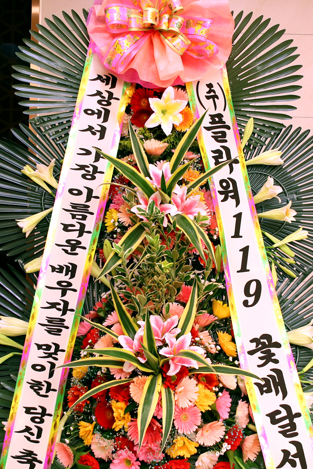 °áÈ¥½Ä ÃàÇÏ3´ÜÈȯ -(3´Ü°í±ÞÁßÇü) °¡À徯¸§´Ù¿î ¹è¿ìÀÚ¸¦ ¸ÂÀÌÇÑ ´ç½Å....