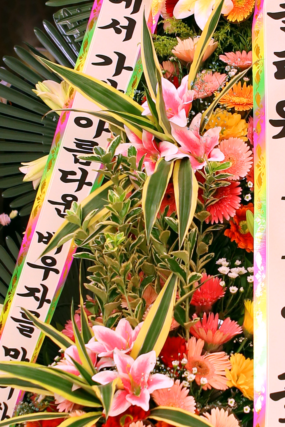 °áÈ¥½Ä ÃàÇÏ3´ÜÈȯ -(3´Ü°í±ÞÁßÇü) °¡À徯¸§´Ù¿î ¹è¿ìÀÚ¸¦ ¸ÂÀÌÇÑ ´ç½Å....