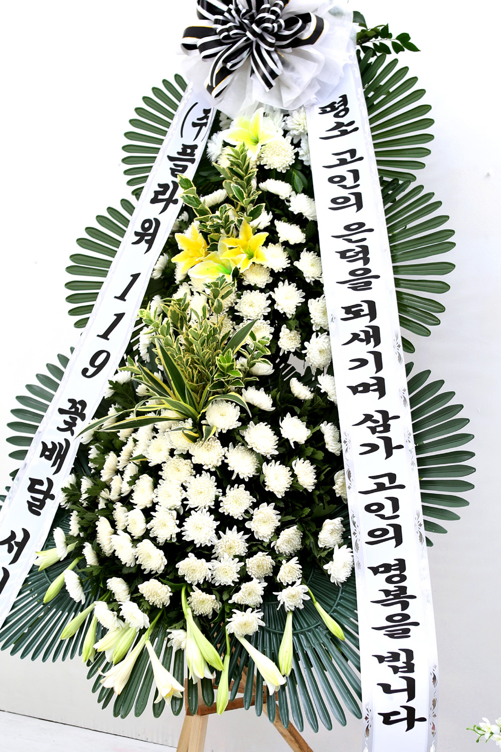  3 ȭȯ ( ) -   ǻ...