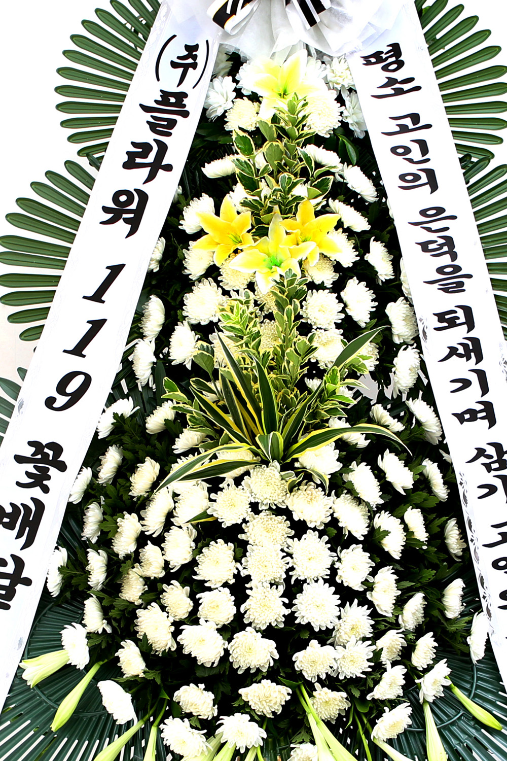  3 ȭȯ ( ) -   ǻ...