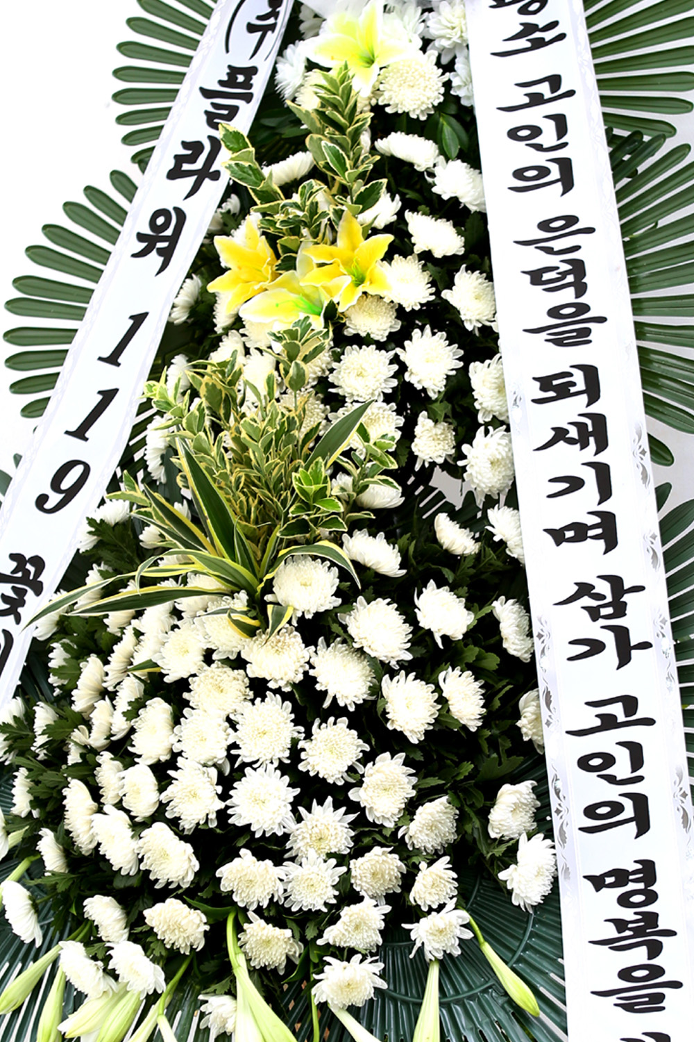  3 ȭȯ ( ) -   ǻ...