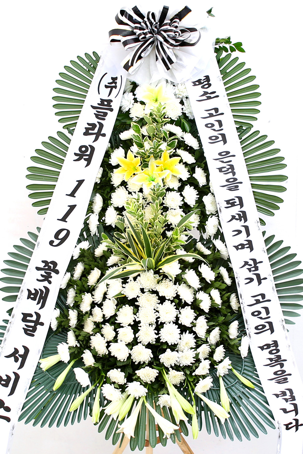  3 ȭȯ ( ) -   ǻ...