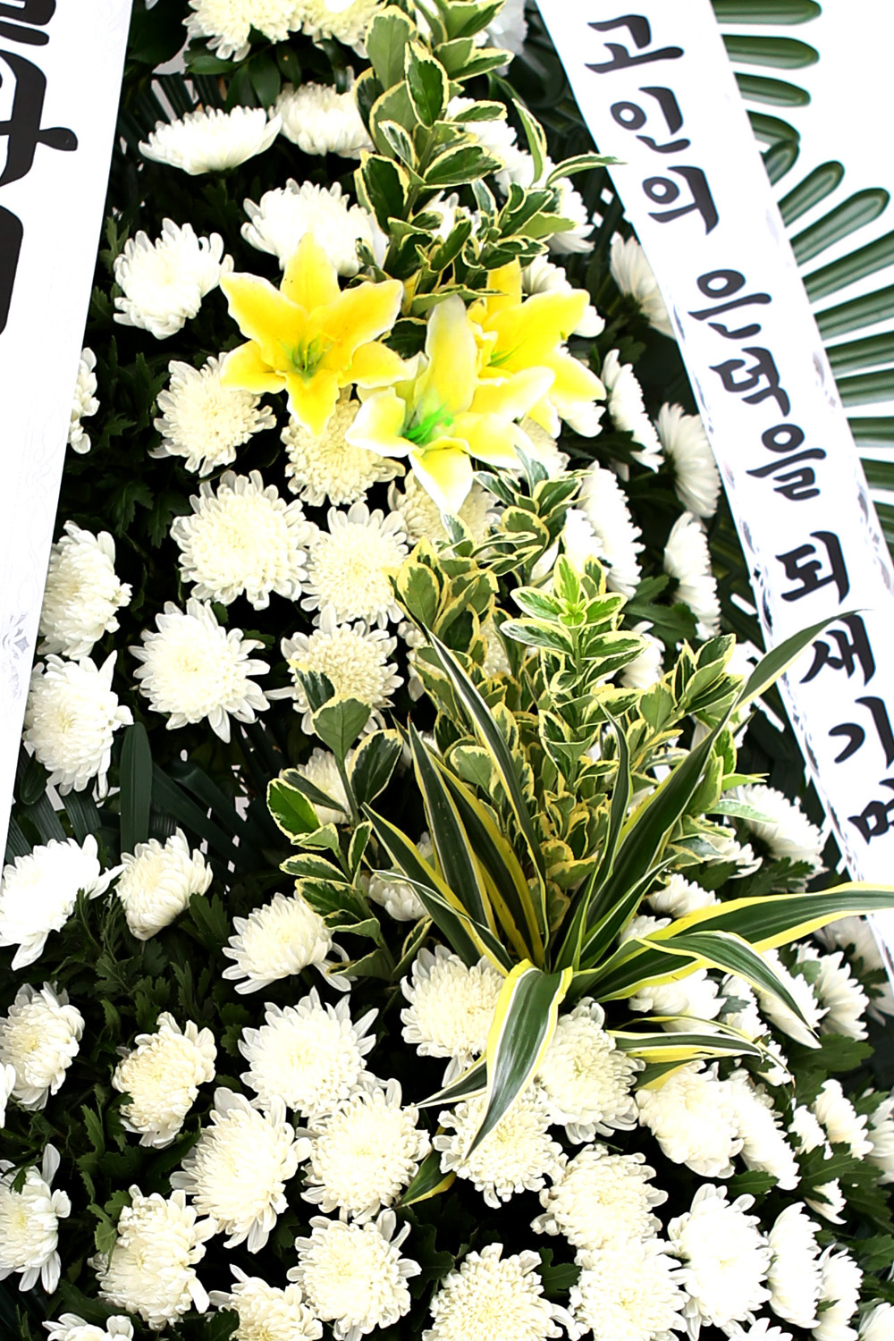  3 ȭȯ ( ) -   ǻ...