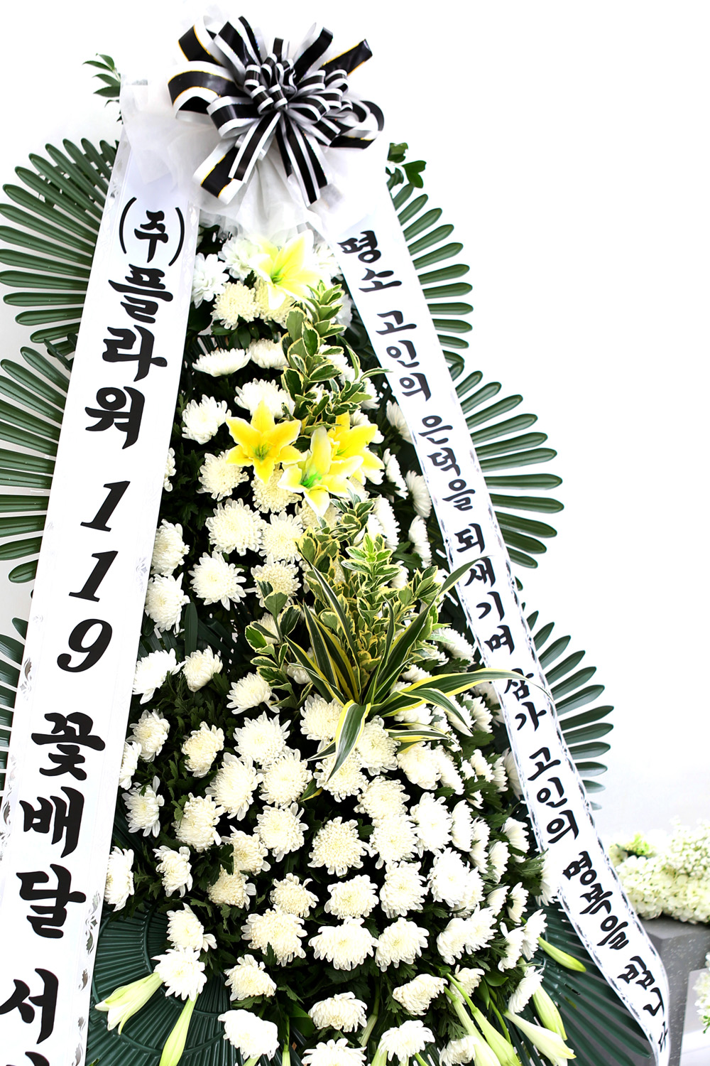  3 ȭȯ ( ) -   ǻ...