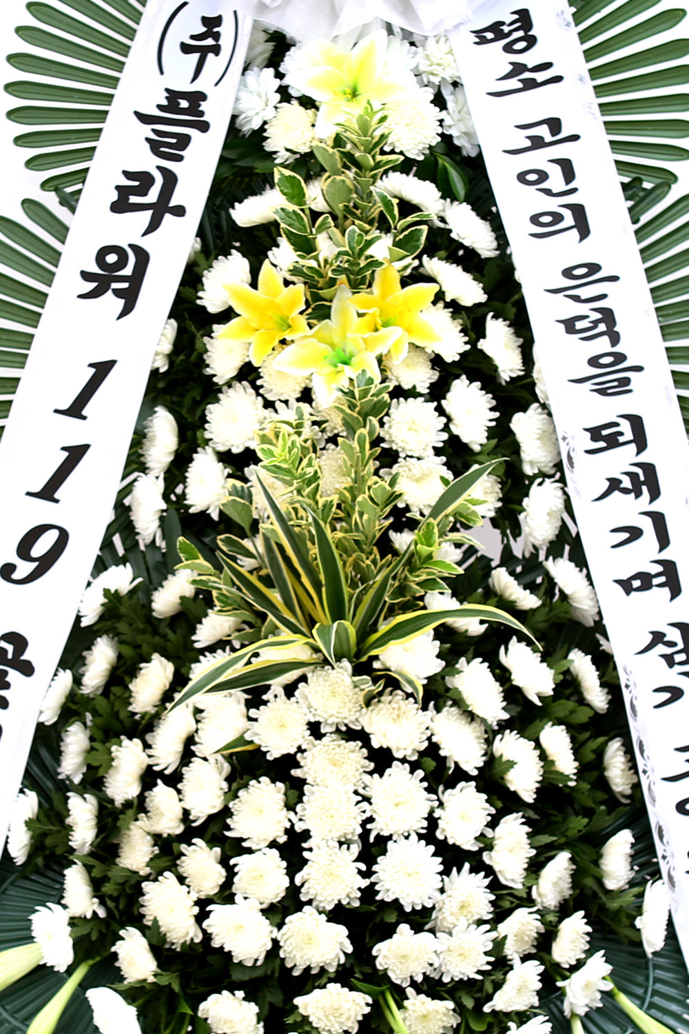  3 ȭȯ ( ) -   ǻ...