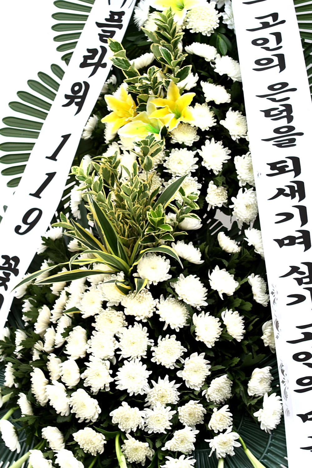  3 ȭȯ ( ) -   ǻ...